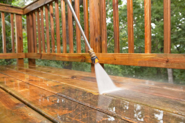 Best Pressure Washing Driveway  in La Center, WA