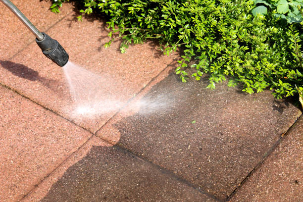 Best Affordable Pressure Washing  in La Center, WA